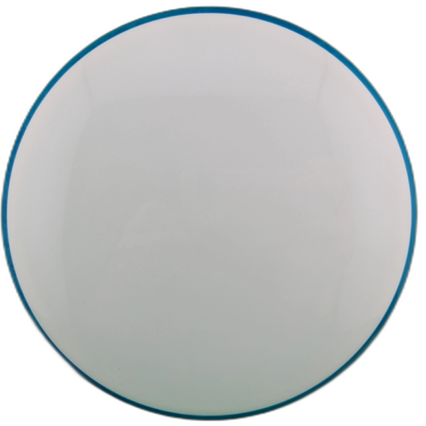 Blank Neutron Soft Proxy from Axiom Discs. White with no Stamp and Blue Swirly Rim.