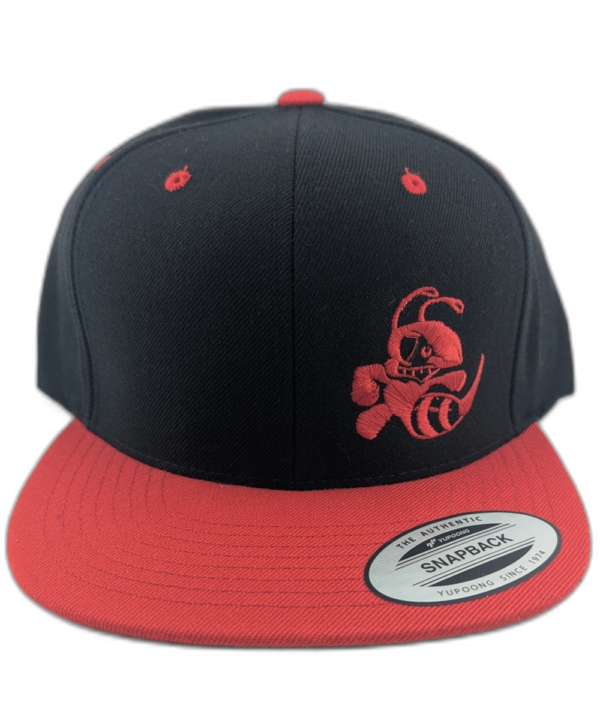 Two Tone Buzzz Logo Snapback