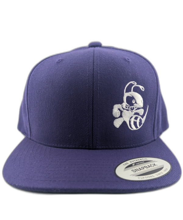 Two Tone Buzzz Logo Snapback - Image 2