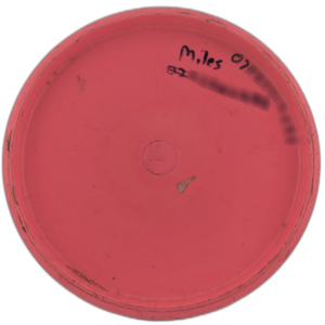 Innova Animal Star First Run Thumbnail 2