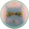 Latitude 64 Claymore Opto Thumbnail 1