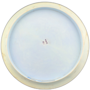 Legacy Discs Rival Icon Thumbnail 2